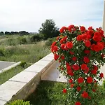 Eva Zadar